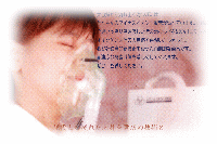 �y�b�g�p�_�f�������^���E�̔��i���{�j�V�����E�V�L���E����y�b�g